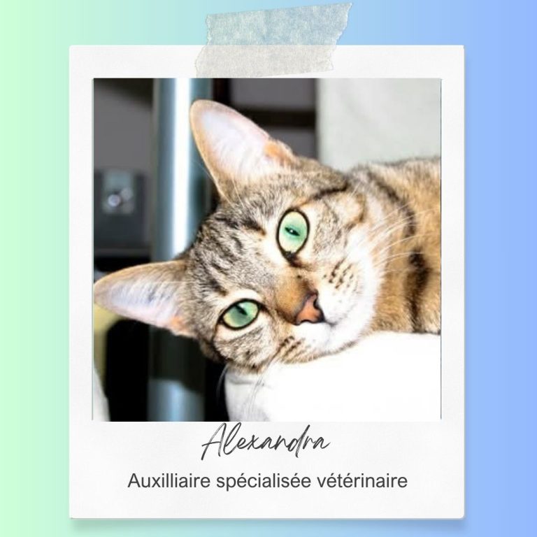 Alenxandra