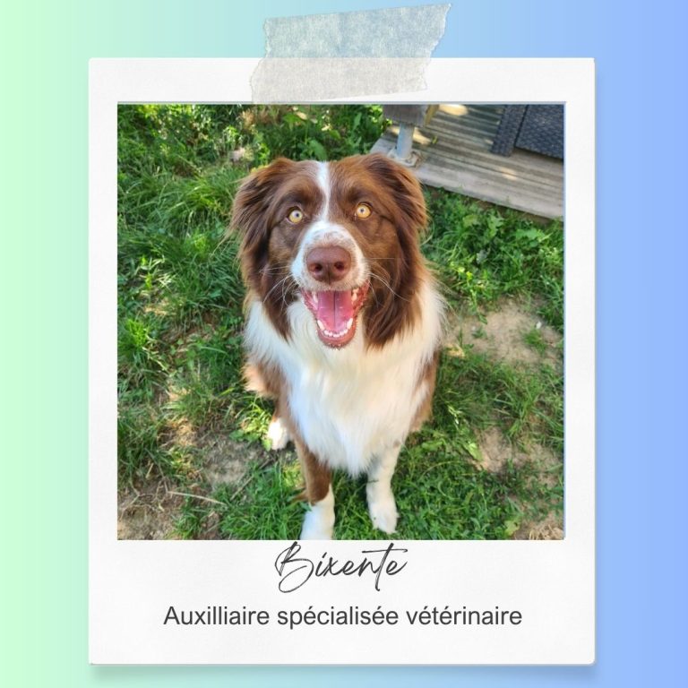 Bixente